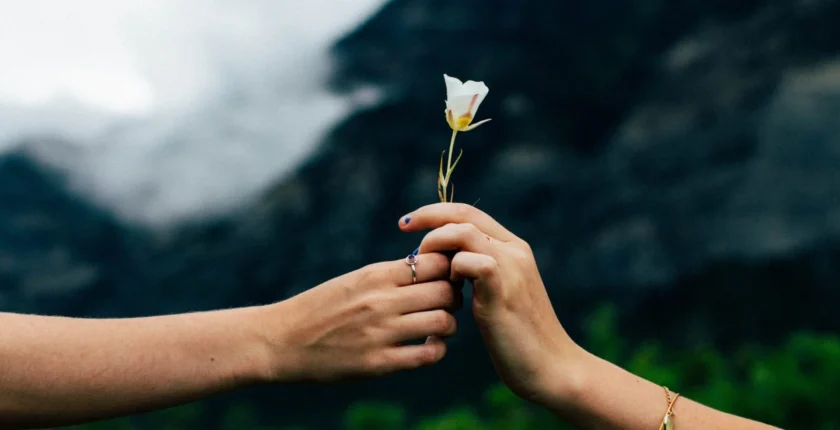 Encontre equilíbrio e serenidade através dos elementos da natureza.