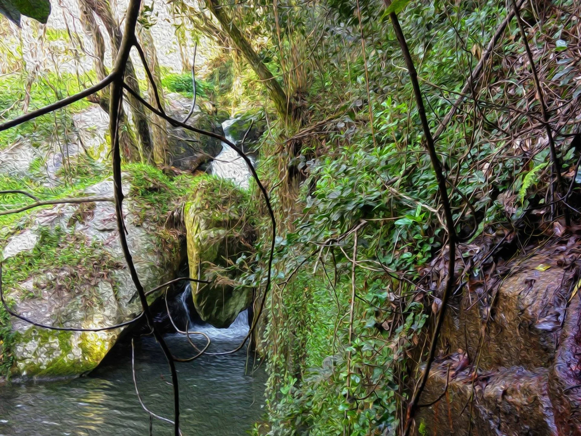 Imagem de um cenário natural com vegetação exuberante, grandes pedras e um pequeno riacho fluindo