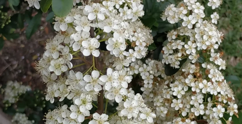 Workshop sobre a união das energias femininas e masculinas, promovendo o equilíbrio interior e a criação de um estado de União Sagrada.