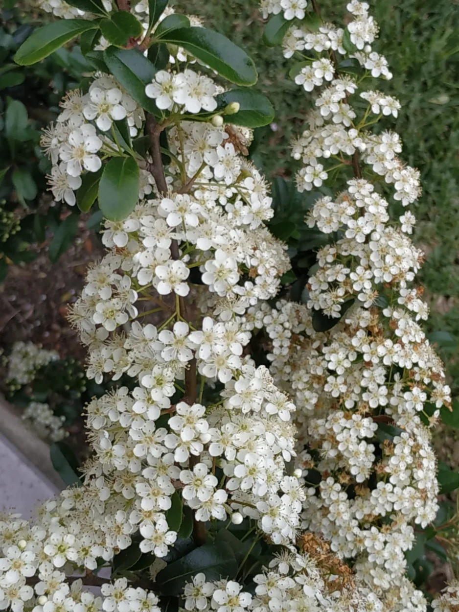 Workshop sobre a união das energias femininas e masculinas, promovendo o equilíbrio interior e a criação de um estado de União Sagrada.