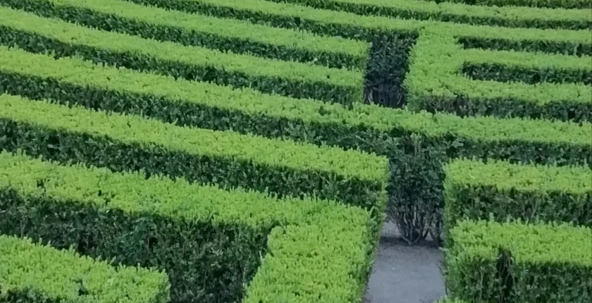 Reflexão sobre a transformação da espera em exercício espiritual, onde a aceitação do momento presente leva à transformação interior.