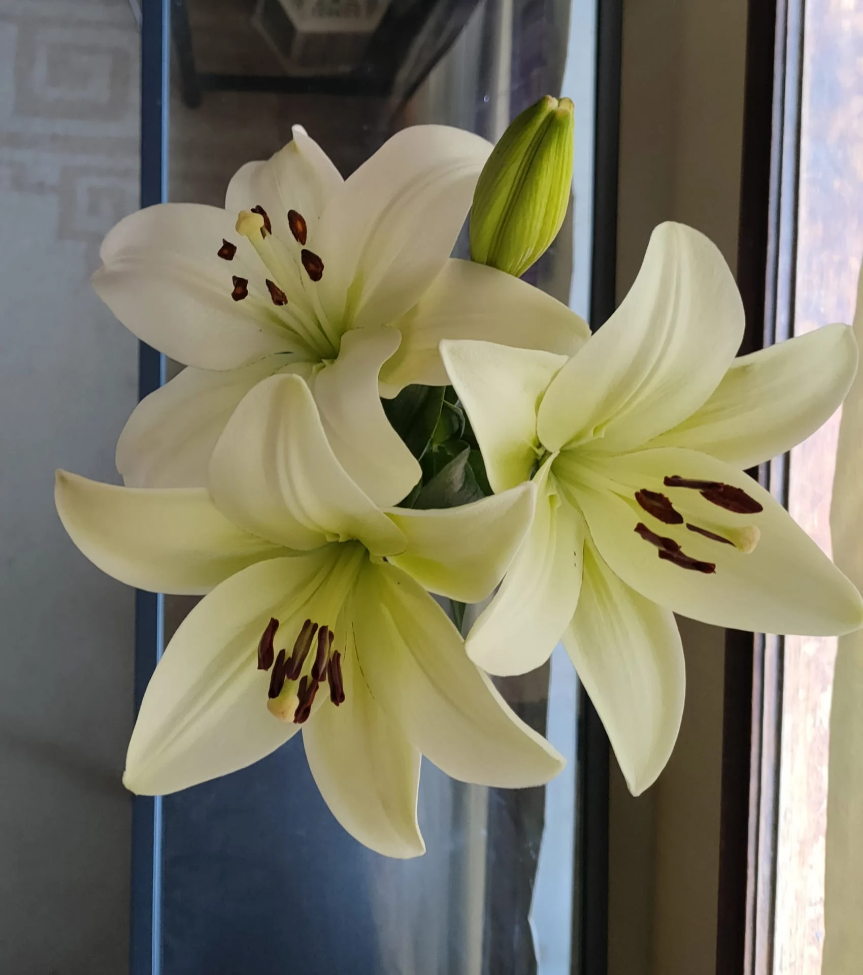 Reflexão sobre o workshop online realizado no dia 5 de Maio, alinhando-se com a energia do portal 5-5-5 através de uma ativação do Pentagrama.