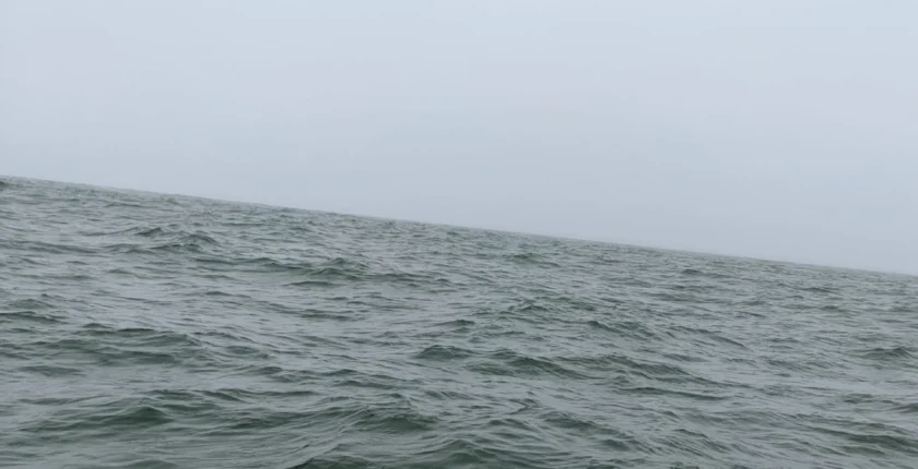 Reflexão sobre a experiência vivida na Lua Cheia em Aquário, conectando-se com o Mar e o Feminino Divino.