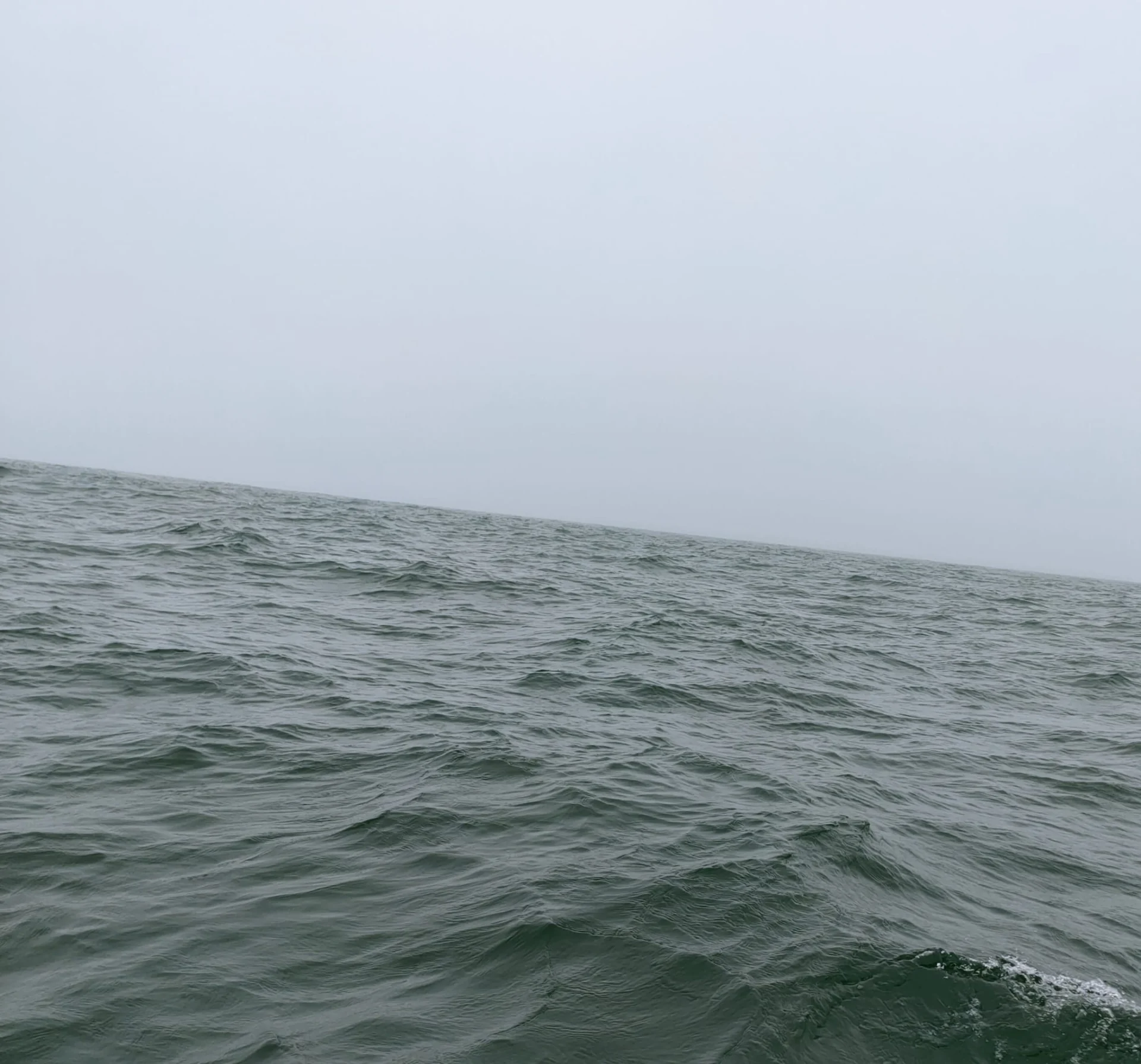 Reflexão sobre a experiência vivida na Lua Cheia em Aquário, conectando-se com o Mar e o Feminino Divino.