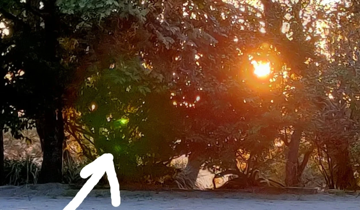 A interação com os Elementais e a Natureza como meio de receber mensagens poderosas sobre honestidade e autoconhecimento, refletindo o trabalho diário com a Virgem Maria.