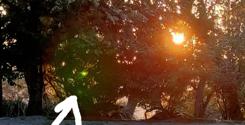 A interação com os Elementais e a Natureza como meio de receber mensagens poderosas sobre honestidade e autoconhecimento, refletindo o trabalho diário com a Virgem Maria.