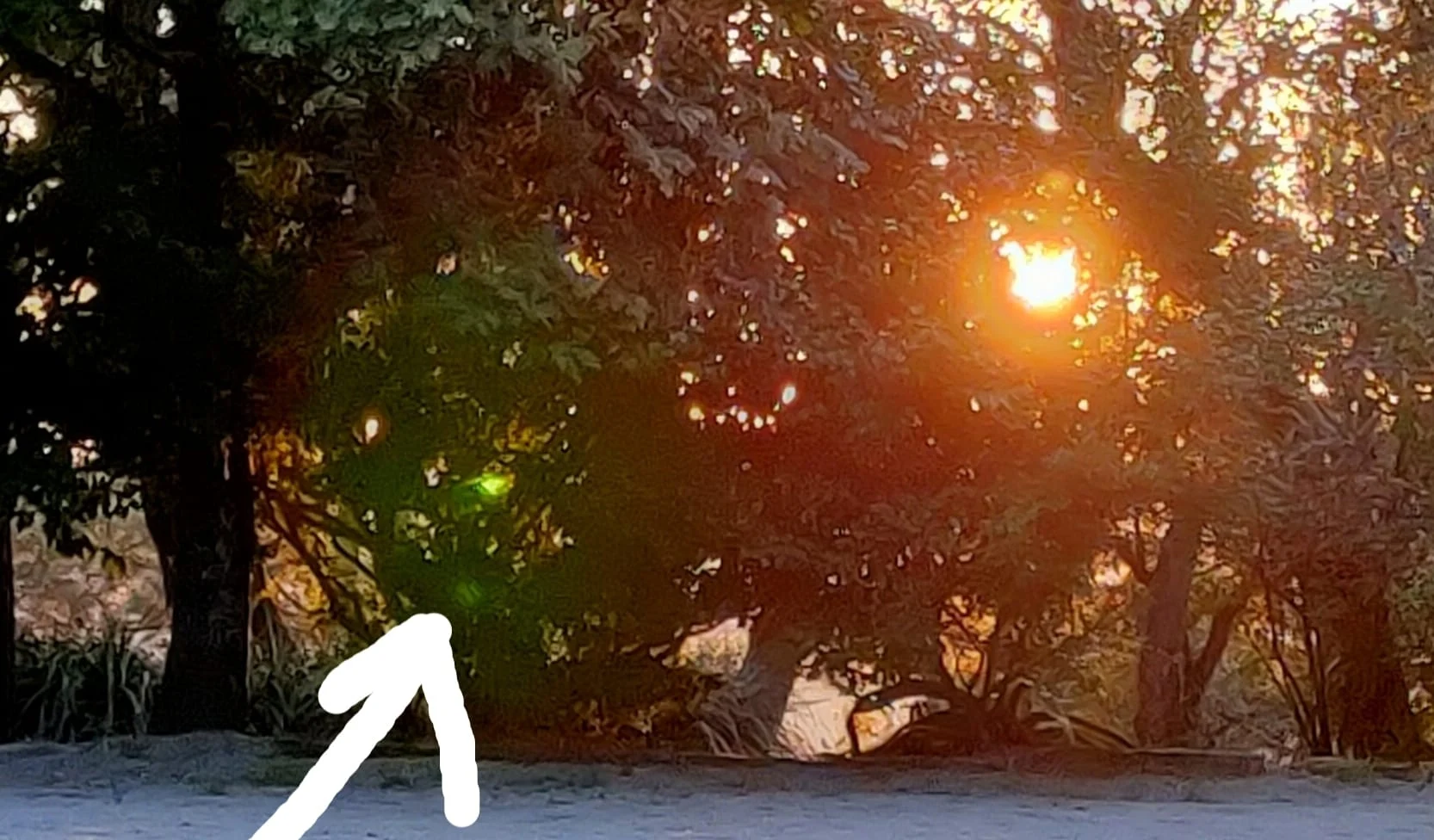 A interação com os Elementais e a Natureza como meio de receber mensagens poderosas sobre honestidade e autoconhecimento, refletindo o trabalho diário com a Virgem Maria.