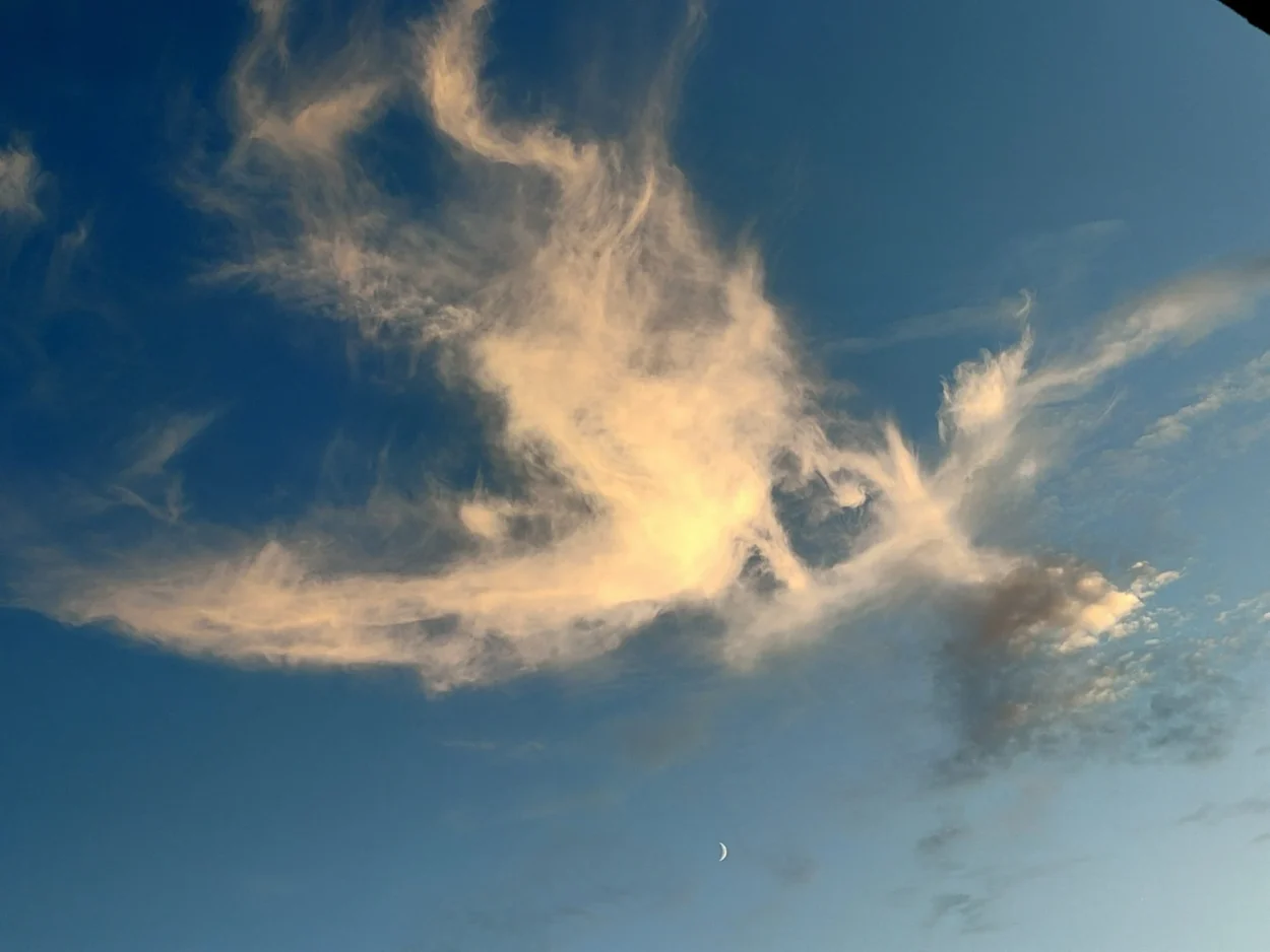 Reflexão sobre a experiência espiritual e a simbologia das borboletas, vivida no Portal 10/10.