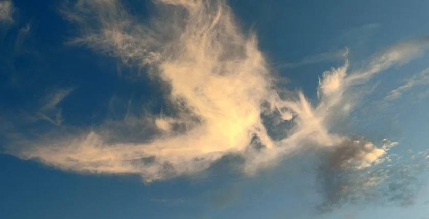 Reflexão sobre a experiência espiritual e a simbologia das borboletas, vivida no Portal 10/10.