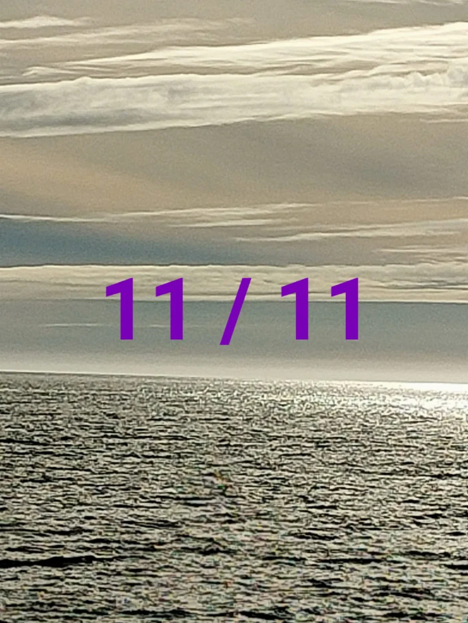 Entre 11 de novembro e 21 de dezembro, vivemos um período de 40 dias de transformação espiritual. Este é um tempo de ativações profundas e elevação coletiva.