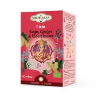 Infusão orgânica para harmonizar o 1º Chakra