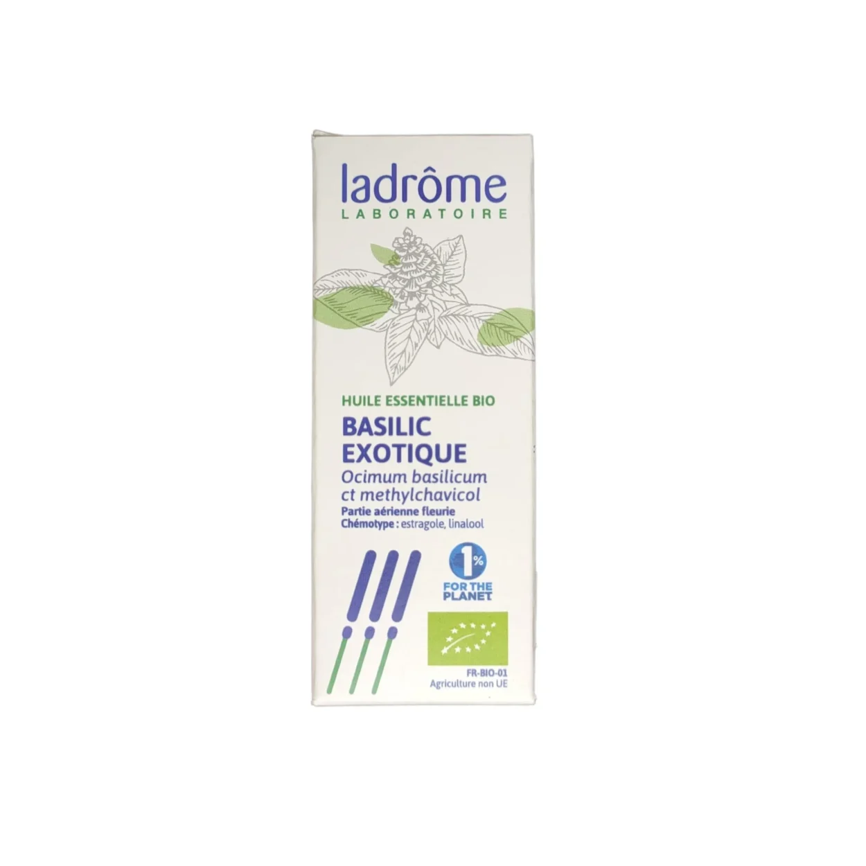 Óleo essencial com propriedades anti-espasmódicas, digestivas, anti-virais, anti-depressivas e mais.