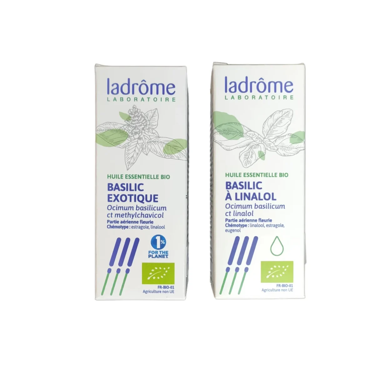 Explore os benefícios dos óleos essenciais de Manjericão e aprenda a criar suas próprias sinergias para promover harmonia e equilíbrio.