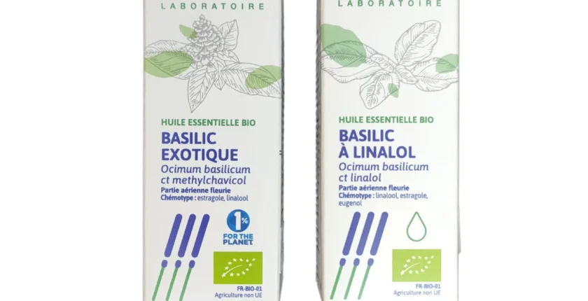 Explore os benefícios dos óleos essenciais de Manjericão e aprenda a criar suas próprias sinergias para promover harmonia e equilíbrio.