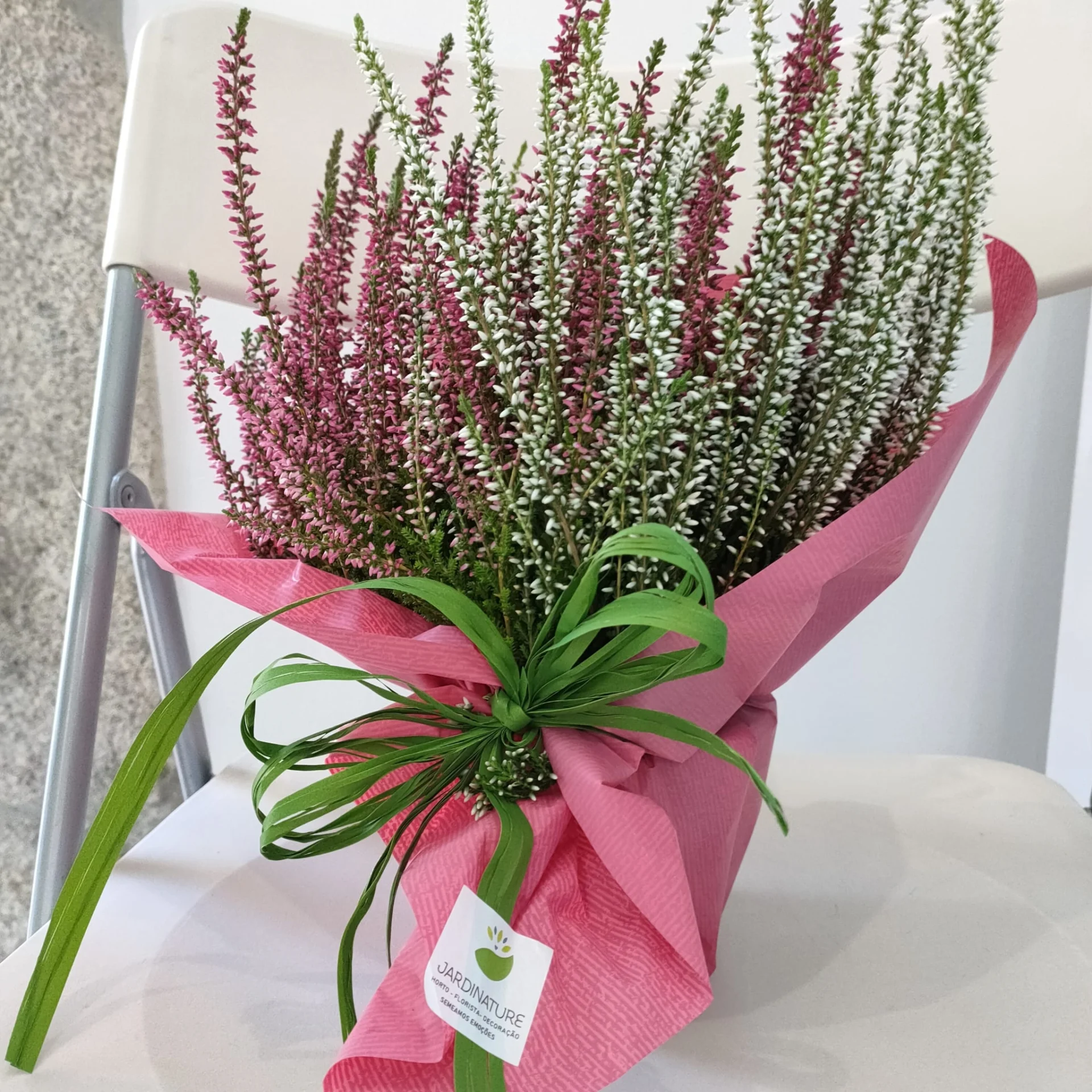 Ponte entre o Reiki Celta e os óleos essenciais