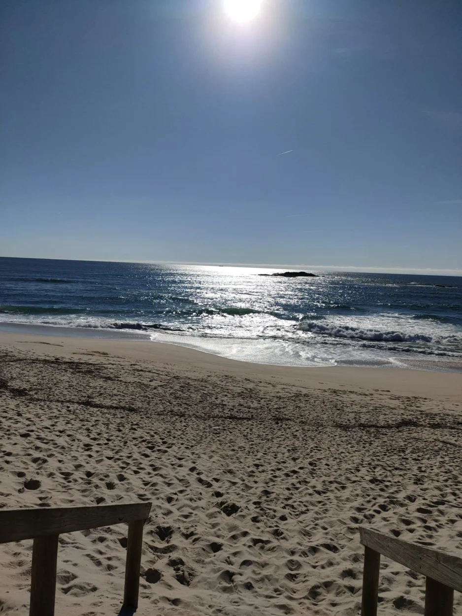 Reflexão sobre o Equinócio de Primavera, simbolizando equilíbrio, liberdade e novos fluxos de Luz.