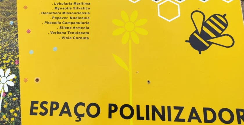 Conexão espiritual através da criação de uma comunidade polinizadora para o despertar da consciência.