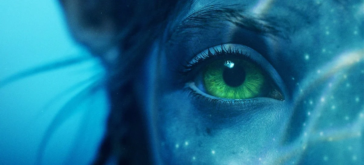 Aula única de SQI, focada na ampliação de consciência e na aceleração quântica.