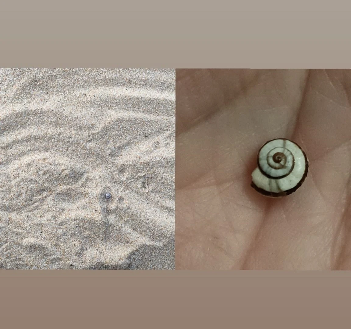 Reflexão sobre o desenho ∞ feito na areia, que permanece intacto por sete dias, com a presença de uma casca de caracol, simbolizando a espiral Fibonacci e a conexão com a Criação.
