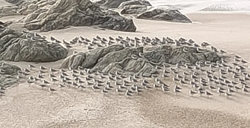 Observação dos Pilritos e a sua orientação para o 144°, simbolizando a Ascensão e a conexão com o Novo Humano e o Plano de Luz Universal.