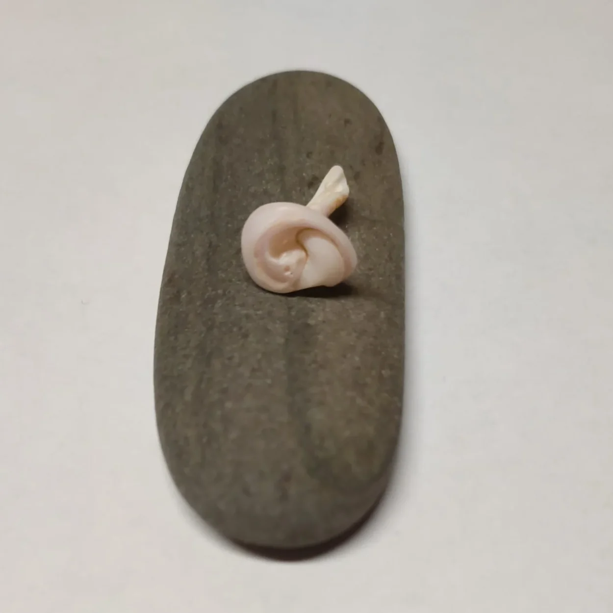 Mensagem simbólica através de objetos encontrados na praia: a carcaça de búzio e a pedra escura oval, representando a reconexão com a origem divina e a existência eterna.