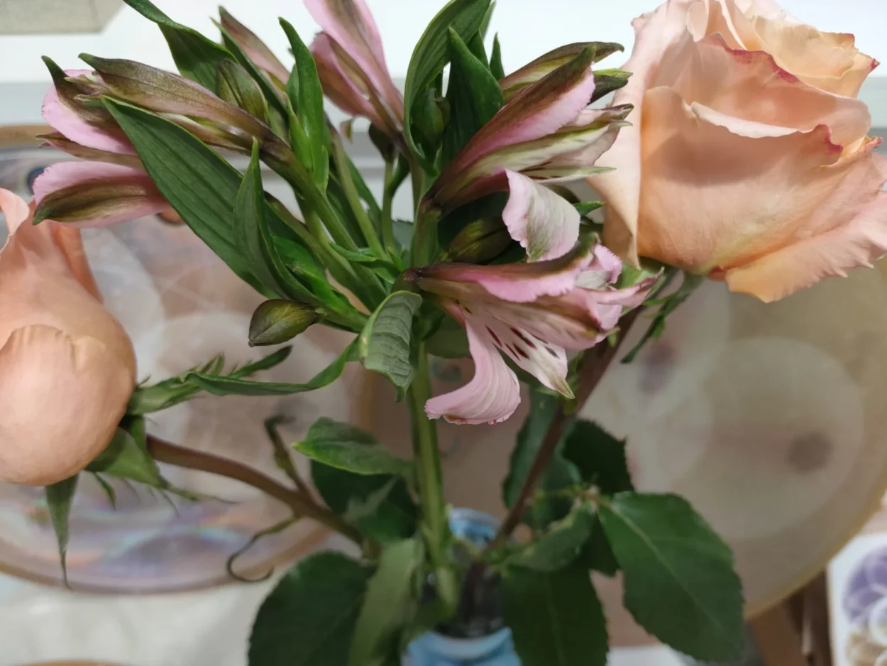 Apresentação presencial da "Matriz Holográfica Fractal" com a simbologia das flores da amizade e felicidade.