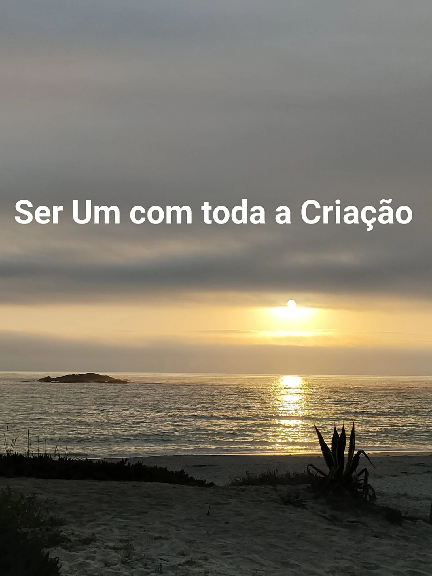 Sentir-se parte da Criação Divina como fonte de força multiplicada.
