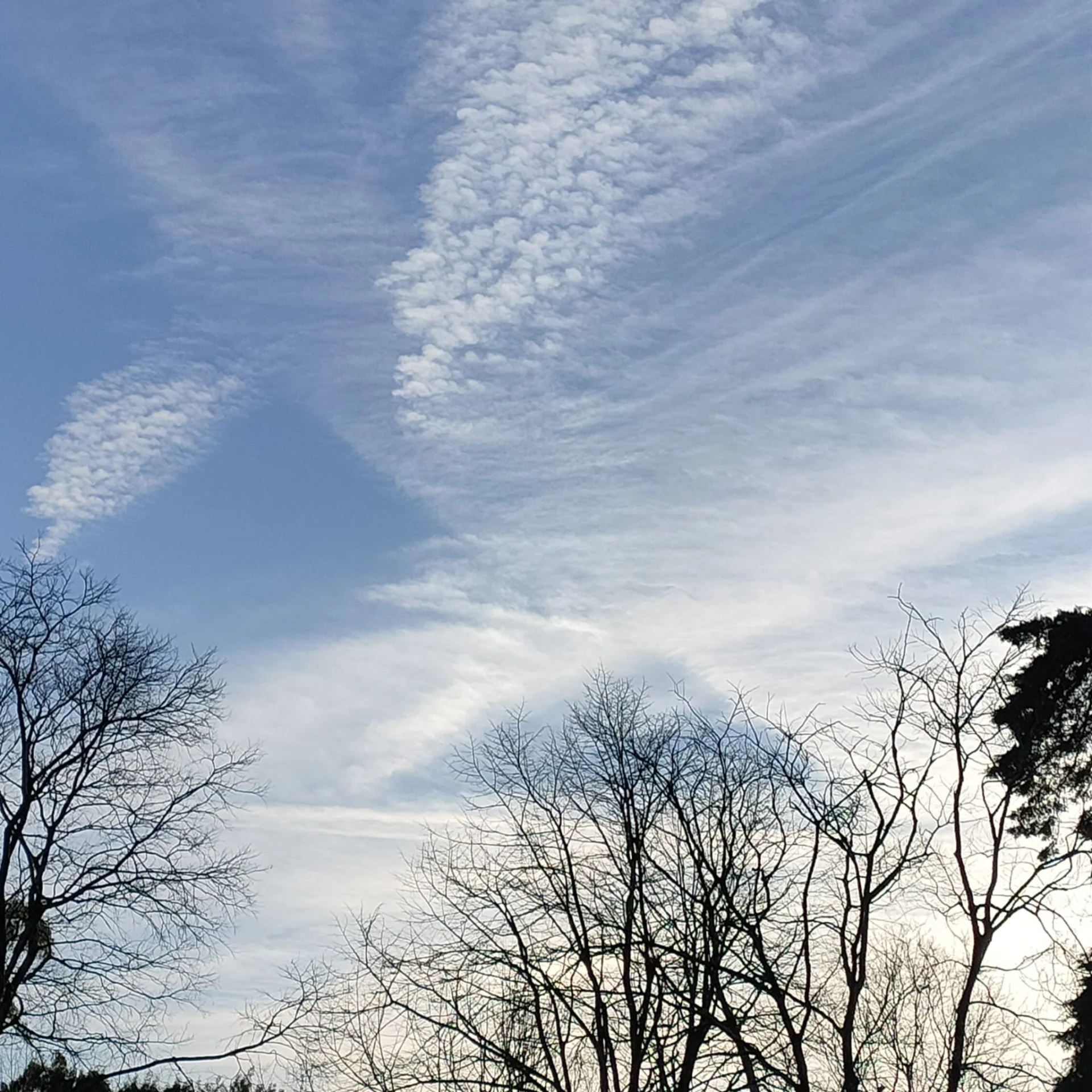 Imagens de 1º Dia de 2025 – O Potencial Criativo e Multidimensional.