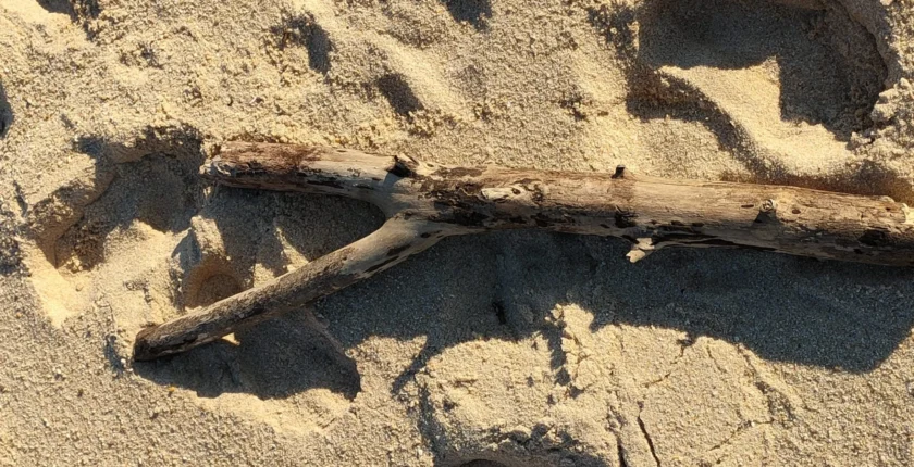 Ísis, “Ysis” e Hissopo – Purificação espiritual e conexão com a sabedoria ancestral