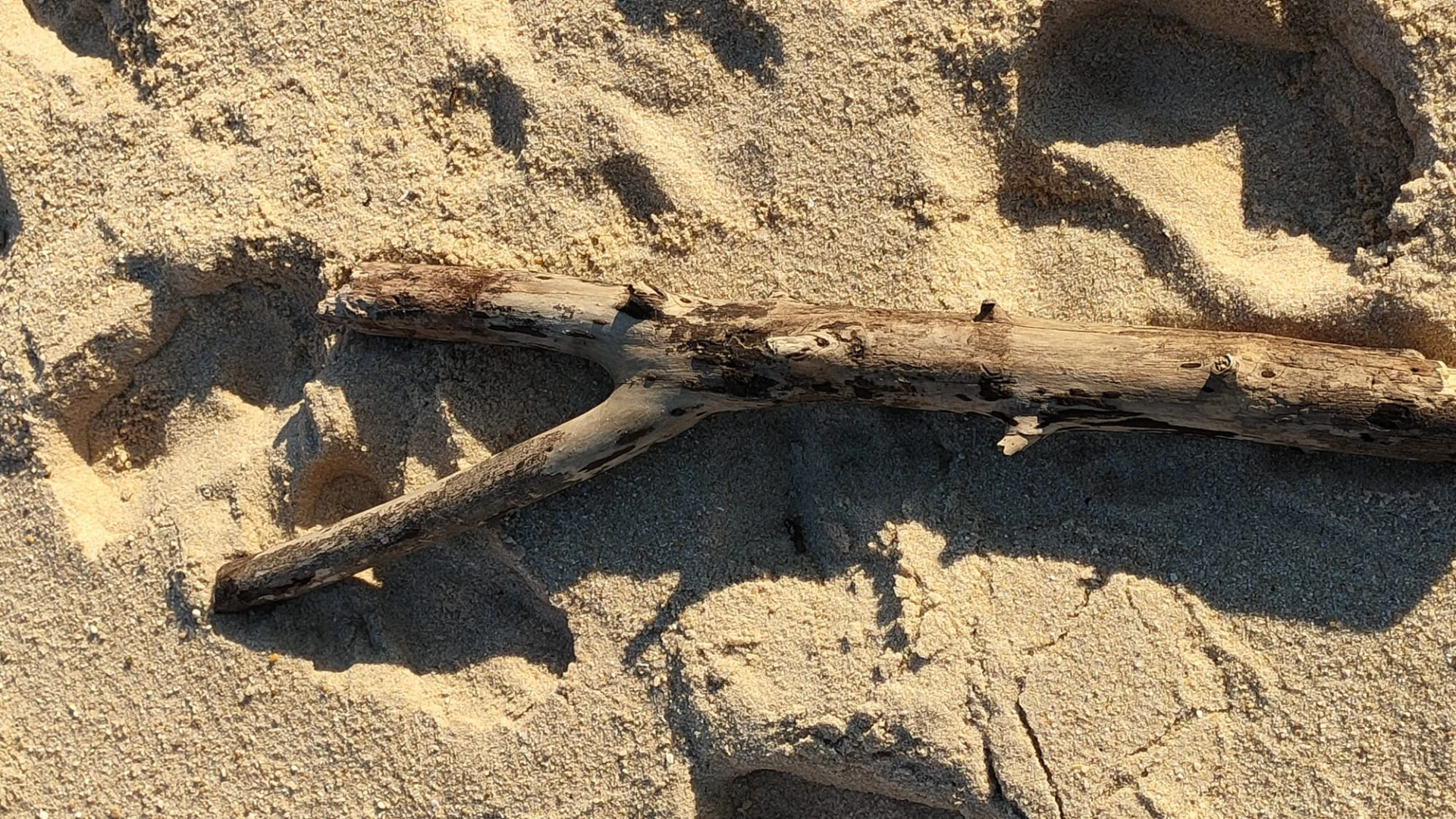 Ísis, “Ysis” e Hissopo – Purificação espiritual e conexão com a sabedoria ancestral