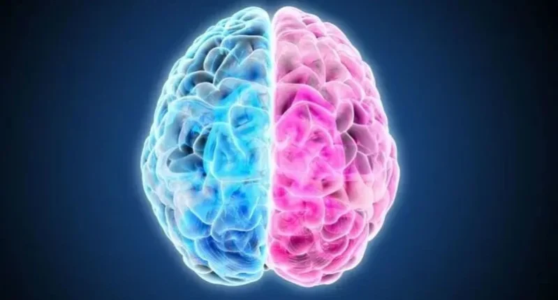 Equilíbrio-Remodelação cerebral